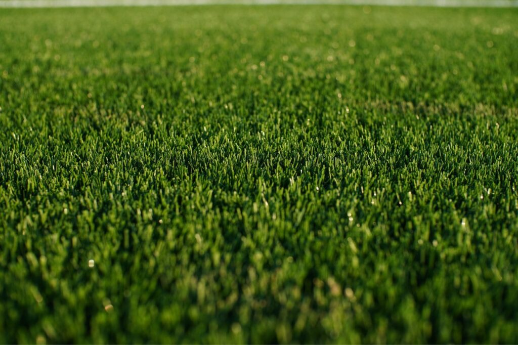 Artificial Grass
